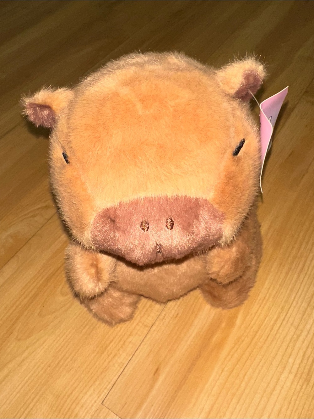 Capybara